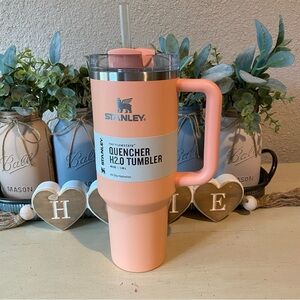 NWT Stanley Melon Quencher
Tumbler 40 oz Target Exclusive